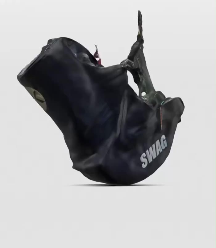 SWAG Gurtzeug, 3D-Ansicht